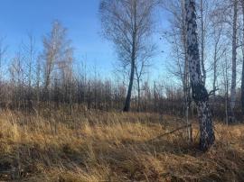 Участки, Челябинская область