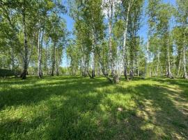 , Челябинская область