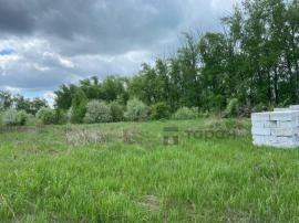 , Челябинская область