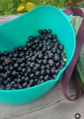 , Челябинск