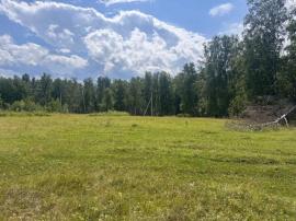 , Челябинская область