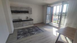 Аренда квартир, 1-комн., Челябинская область